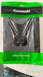 adesivo serbatoio Kawasaki z900