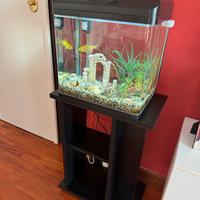 Acquario 30  lt con tutti gli accessori