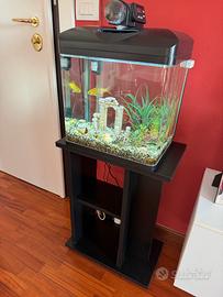 Acquario 30  lt con tutti gli accessori