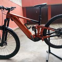 lgiant ebike