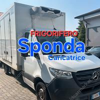 MERCEDES SPRINTER 314cdi FRIGO CON SPONDA