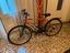 Immagine 1