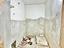 Immagine 14