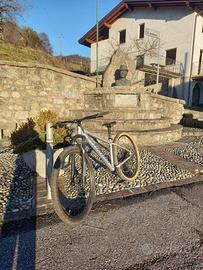 Bicicletta Mtb Specialized