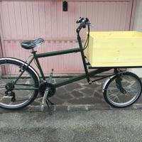 Cargo Bike compatta