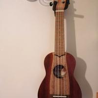 Appendichitarra - ganci regolabili colore nero