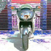 Honda CBR 1100 XX - 1998
