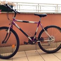MTB Anni 80