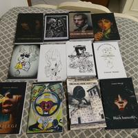 Libri Lorenzo Meozzi 