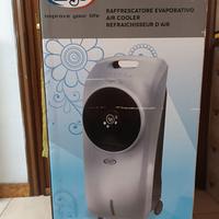 raffrescatore ventilatore Argo Polifemo Ion Silver