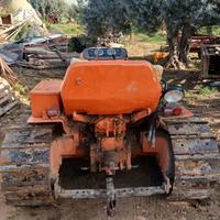 Trattore cincolato fiat 605 montagna
