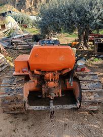 Trattore cincolato fiat 605 montagna