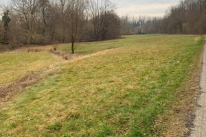 Terreno agricolo Missaglia