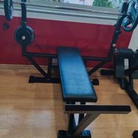 Panca Piana Tecnogym