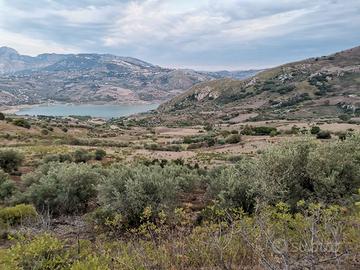 Terreno agricolo edificabile - c.da batato caccamo