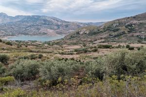Terreno agricolo edificabile - c.da batato caccamo