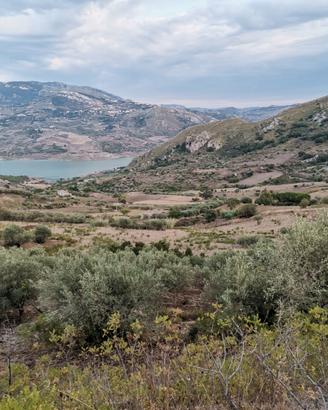 Terreno agricolo edificabile - c.da batato caccamo
