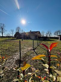 Giardiniere Brescia Verona Bergamo