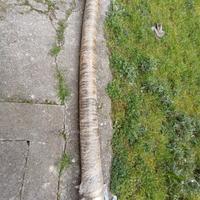 Tubo manicotto flessibile.