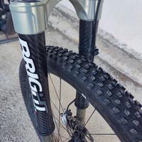 MTB Forcella Bright F929
