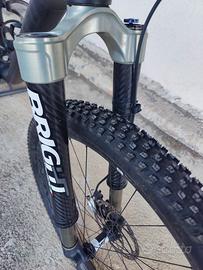 MTB Forcella Bright F929