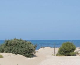 Vendita struttura agrituristica