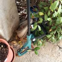 decespugliatore elettrico BOSCH 