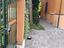 Immagine 19