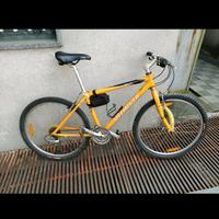 Mountain bike Specialized