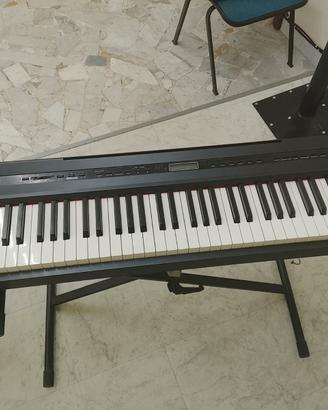 Piano SP10 - Echord - Piano digitale