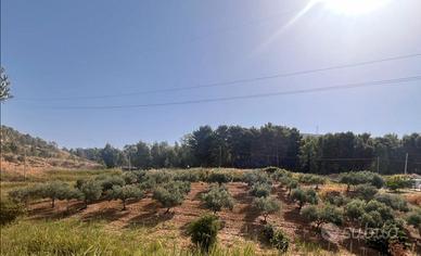 Terreno agricolo non edificabile
