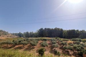 Terreno agricolo non edificabile