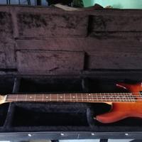 Basso Ibanez rdgr500
