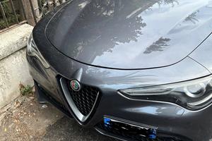 Alfa Romeo Stelvio 2.2 Turbodiesel 180 CV AT8 Busi