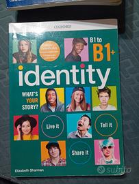 identity b1 to b1+