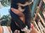 Immagine 5
