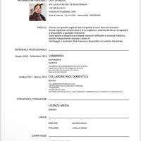 Lavapiatti ,operai,cameriera,fabbrica,magazziniera