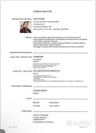 Lavapiatti ,operai,cameriera,fabbrica,magazziniera