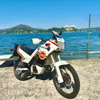 Cagiva Cocis 50 Lucky Explorer