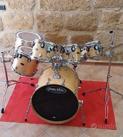 Batteria acusticaPacific LX Series All Maple Shell