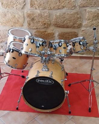 Batteria acusticaPacific LX Series All Maple Shell