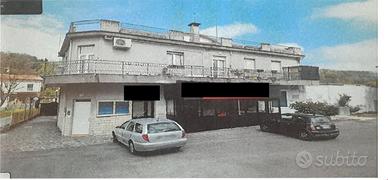 RGE 36/2024 - Tribunale di Urbino