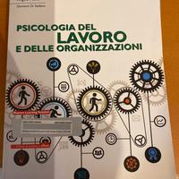 Psicologia del lavoro e delle organizzazioni