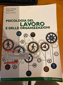 Psicologia del lavoro e delle organizzazioni