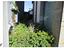 Immagine 29