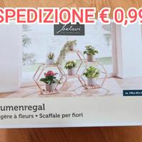 nuova struttura porta piante 