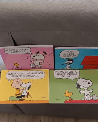 Cofanetto edizione limitata fumetti dì Snoopy