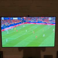 Tv lg oled 55b6v