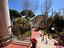 Immagine 7
