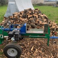 Spaccalegna Palumbo 20 t